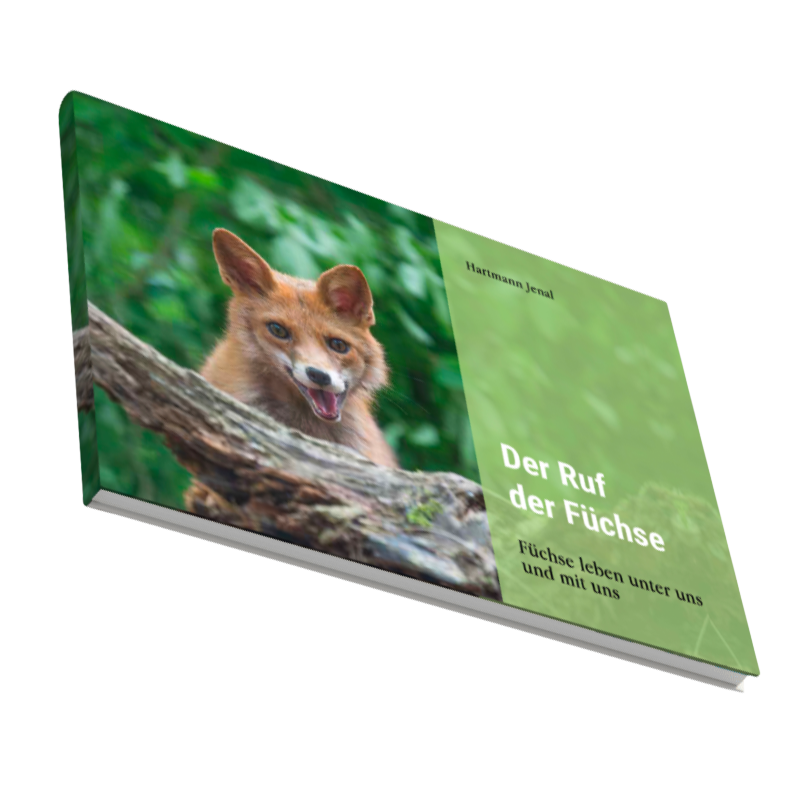 WITAS - Der Ruf der Füchse (Buch)