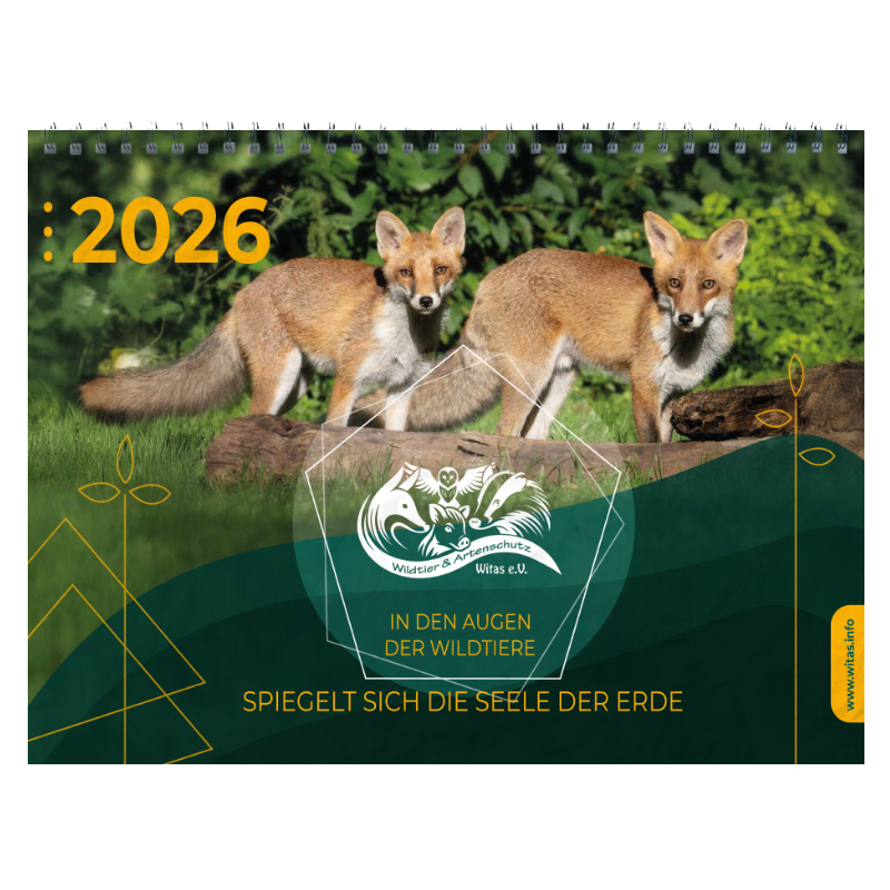 WITAS - Kalender 2026